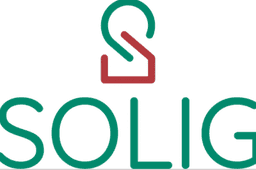 Logo Solig store